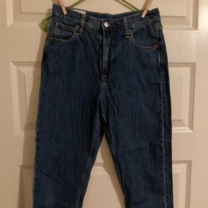 Gap Women's 27 Petite Sky High Rise Mom Jeans - Medium Blue